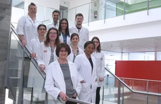 Tratamientos por microondas y ultrasonidos intentan mejorar los productos sin gluten