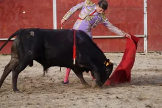 Novillada en Carrascal de Barregas (70)