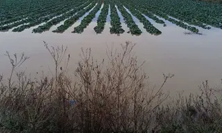 Campos de cultivo anegados por el agua de las intensas lluvias | Europa Press