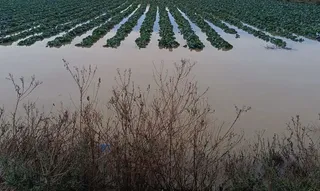 Campos de cultivo anegados por el agua de las intensas lluvias | Europa Press