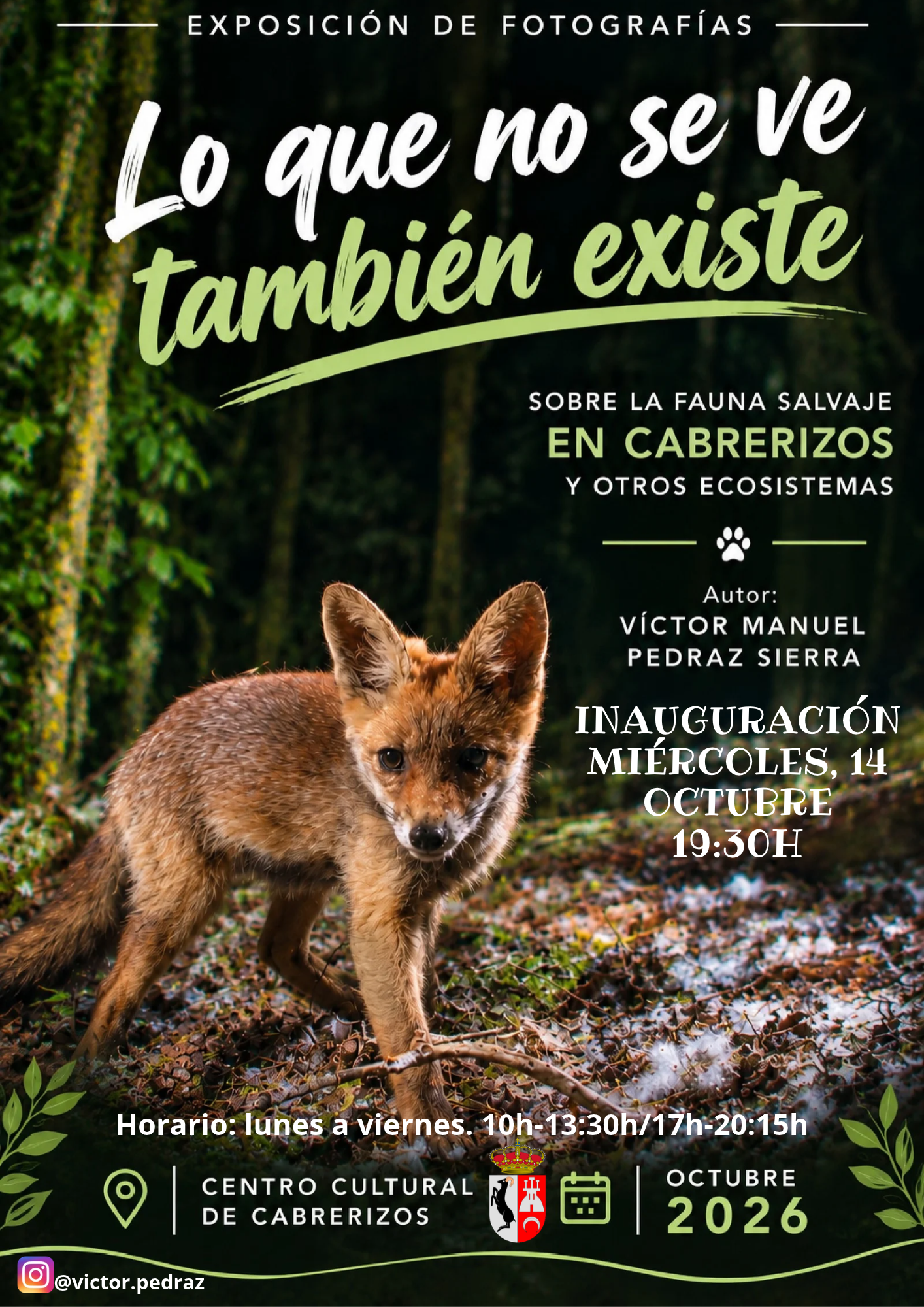 Cartel De La Exposici&oacute;n En Cabrerizos Lo Que No Se Ve Tambi&eacute;n Existe De V&iacute;ctor Manuel Pedraz