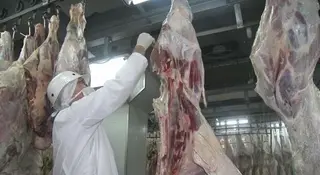 La Asociación de Industrias de la Carne impulsa el autocontrol y la calidad en el sector junto al Ministerio. Foto de archivo