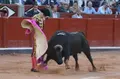 Adelaida Rodríguez en Salamanca | BMF TOROS