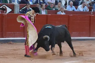 Adelaida Rodríguez en Salamanca | BMF TOROS