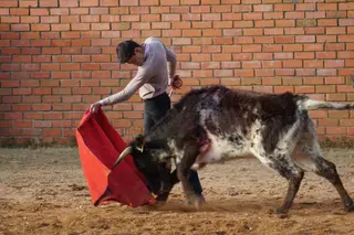 Tentadero Valdefresno