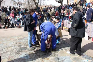 Matanza guijuelo (15 02 2020) (123)