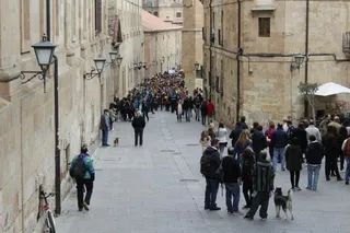 Fiestas de medicina
