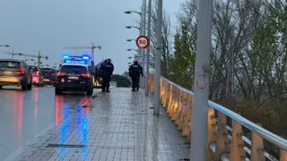 Despligue Policial puente Juan Carlos I