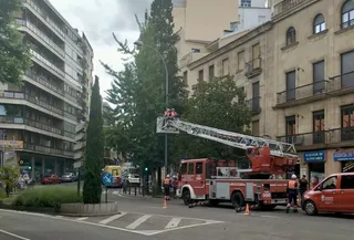 Rescate gato paseo Carmelitas