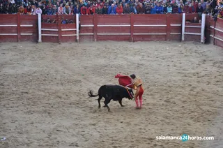 Carnaval del Toro novillada domingo (108)