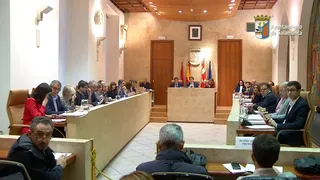 Pleno diciembre