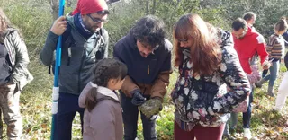 Voluntatormes3