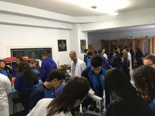 IMG 4957