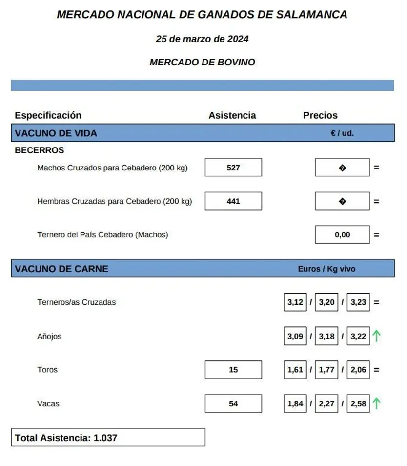 Mercado 25 de marzo 