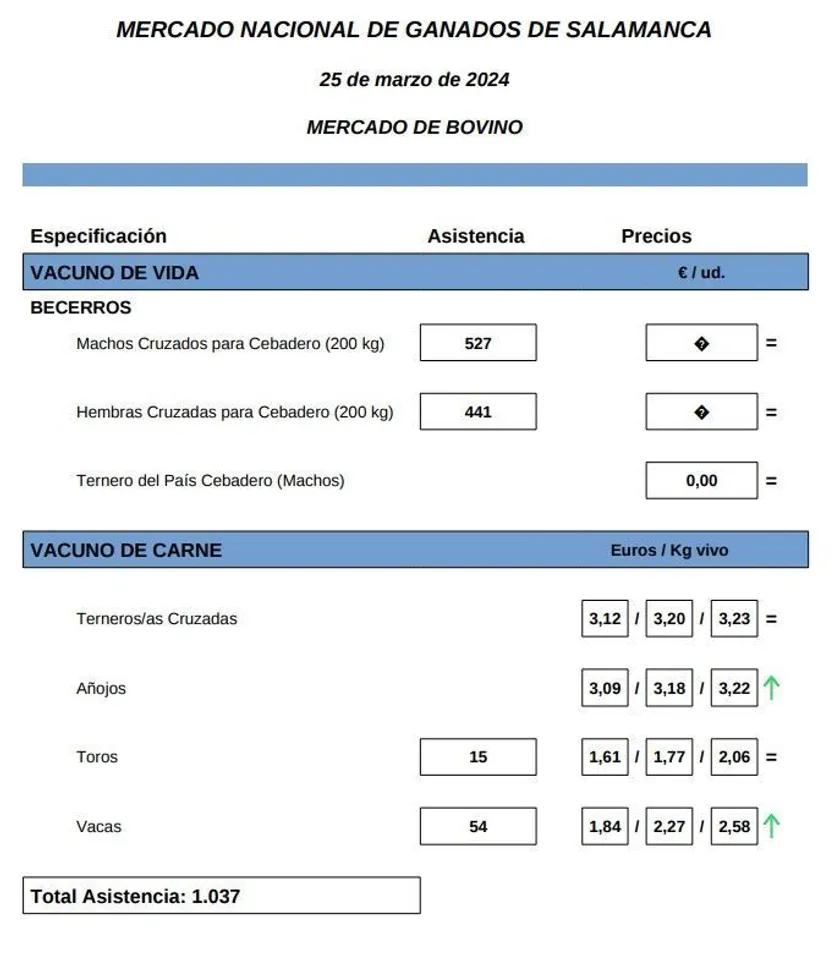 Mercado 25 de marzo 