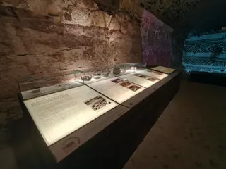 Inauguración del museo del Cerro de San Vicente en Salamanca