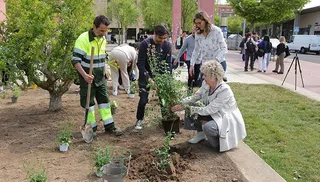 Día Internacional de la Diversidad Biológica. Foto USAL