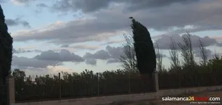 Protección Civil alerta por lluvias y vientos fuertes en Nochebuena y Navidad