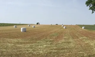 Castilla y León recibe 11,4 millones para el desarrollo de programas alimentarios, ganaderos y de desarrollo rural