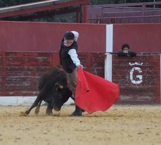 Tentadero con Javier Castaño y Pablo Mora