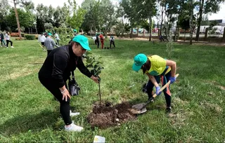Plantación árboles en Guijuelo
