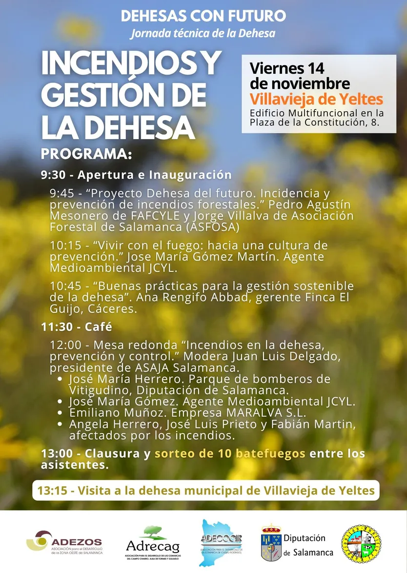 Cartel Villavieja