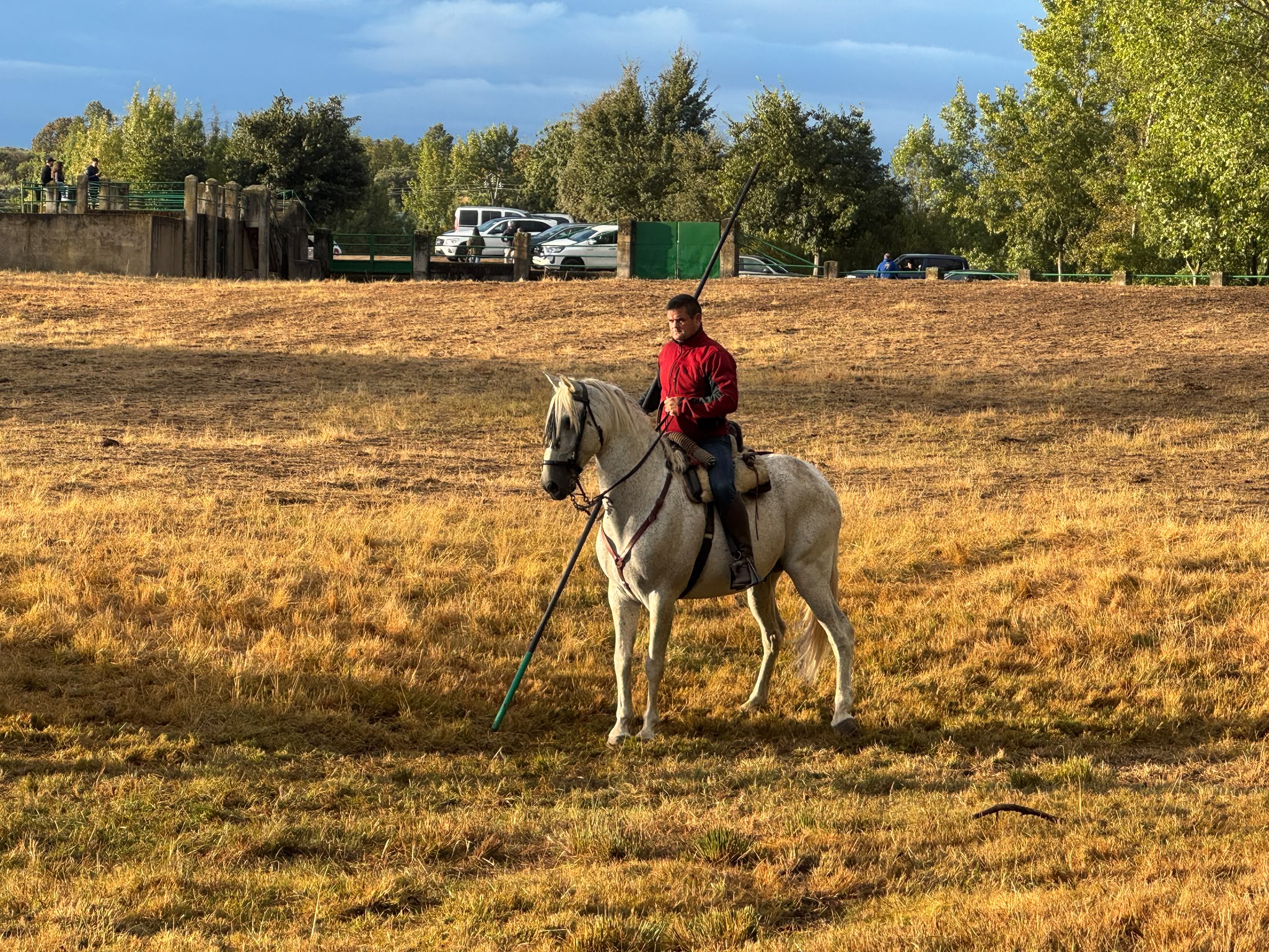 Encierro a Caballo De Novillos De La Campana En Aldead&aacute;vila De La Ribera. Salamanca24horas (9)
