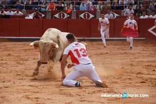 Concurso de cortes (83)