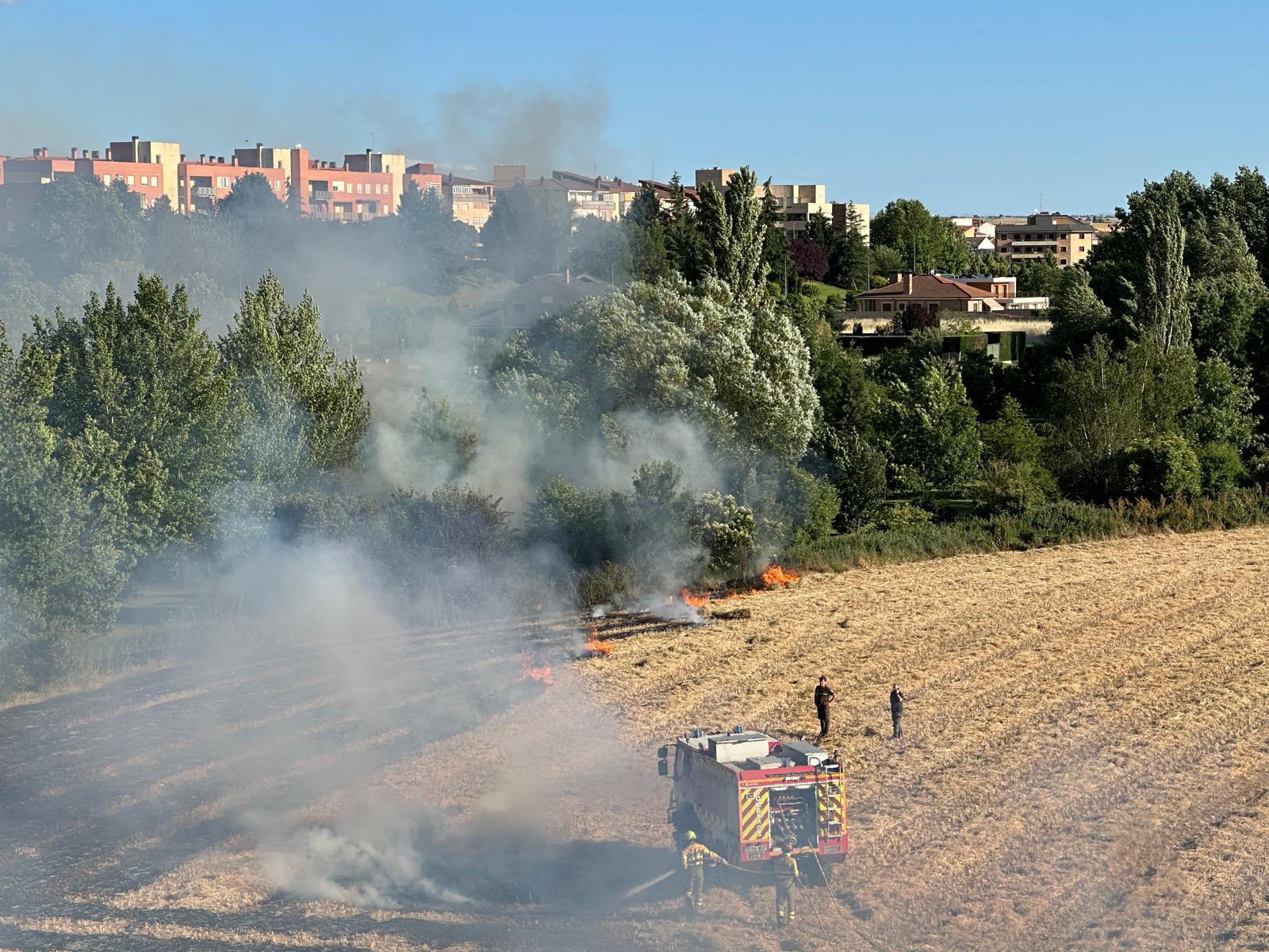 Incendio de pelusa en Carbajosa. Carbajosa Noticias