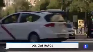 Losdasraros