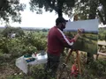 Certamen de Pintura El Alcornocal Valdelosa. Archivo de una edición anterior