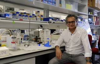 Juan Pedro Bolaños, catedrático de la USAL, premio Castilla y León de investigación