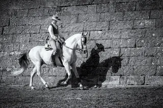 Mª. Jesús Hortas Centeno. 1º premio Concurso Fotografía Feria Caballo 2021