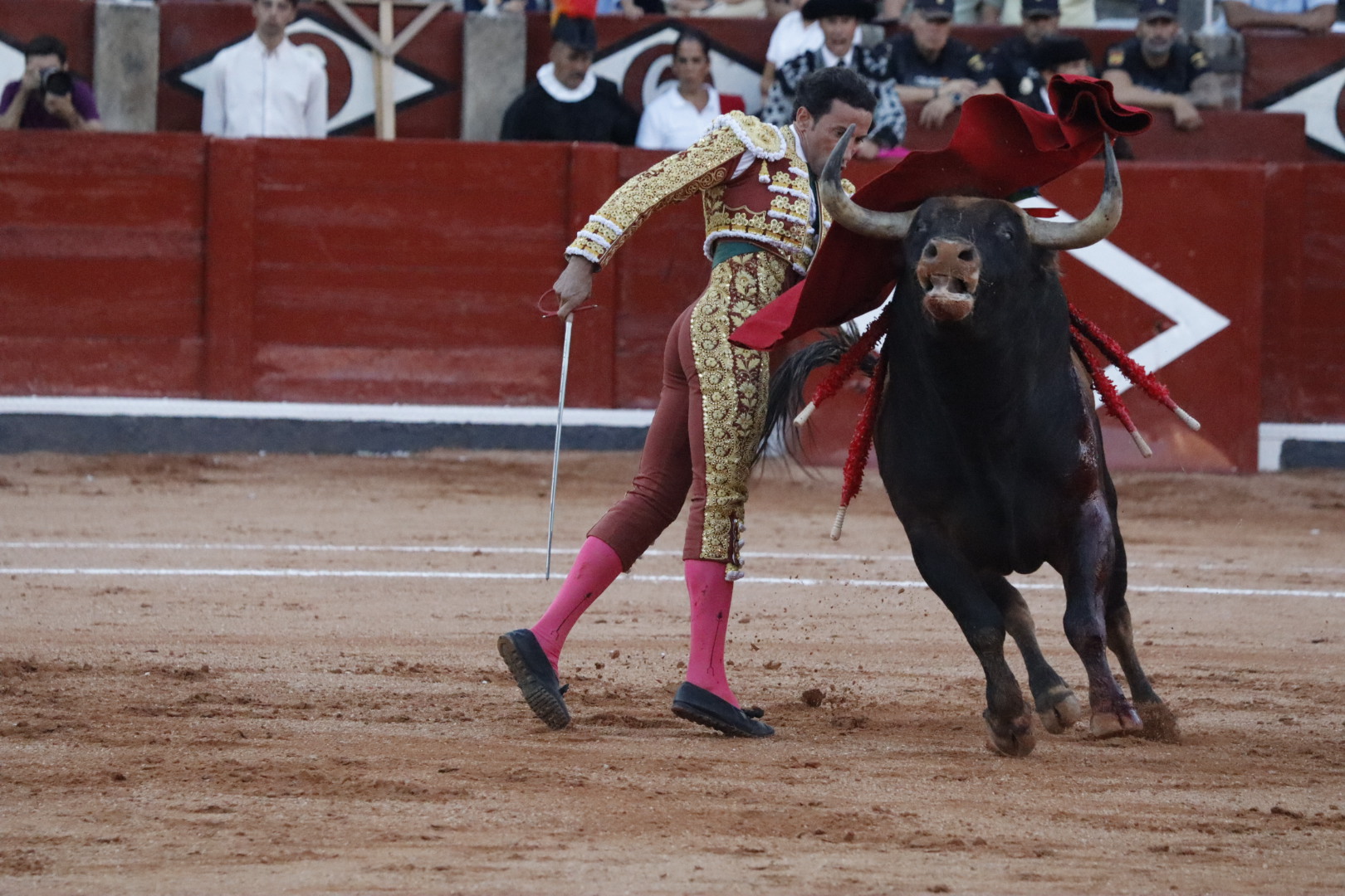 David de Miranda ante el sexto toro de nombre 'Campanillero' | Asier Galache