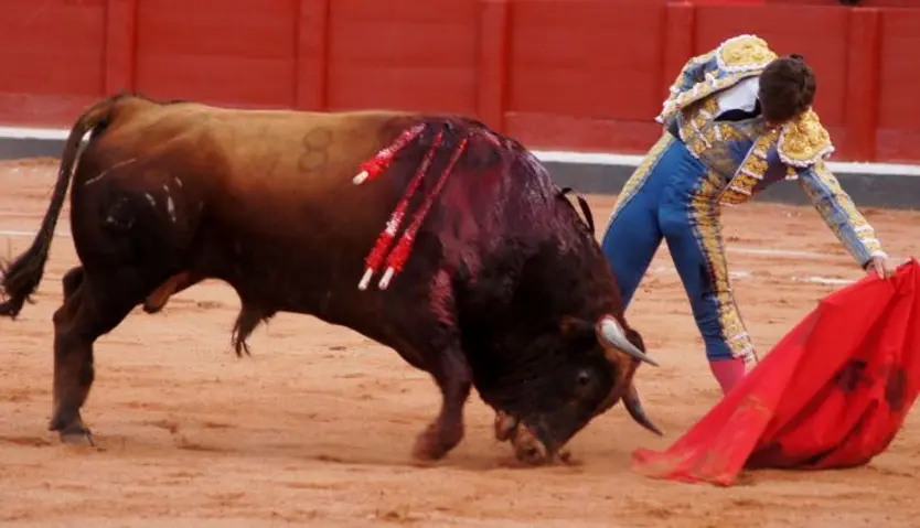 Julián López El Juli (2)