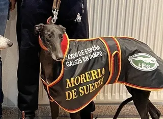 Morería de Suerte