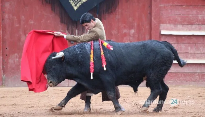 Festival taurino Capea, Aguado, Ortega y Diego Mateos en Ciudad Rodrigo