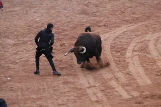 GALERÍA | Capea y desencierro de Martes de Carnaval en Ciudad Rodrigo