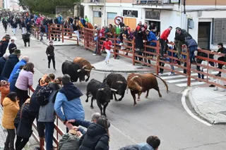 Toro más bravo Carnaval 2026