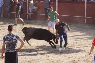Capea fiestas de Carrascal de Barregas (1)