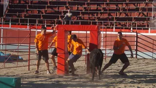 Del Gran Prix de Peñas al teatro de calle en la víspera del fin de semana de fiestas