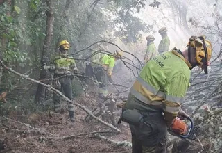 Bomberos forestales de la Junta de Castilla y León actuando en un incendio | INFOCAL