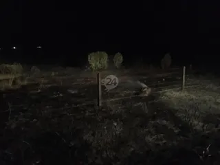 Incendio nocturno trasera Recinto Ferial