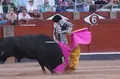 Adelaida Rodríguez en Salamanca | BMF TOROS