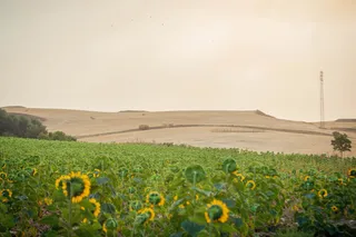 Inicio de la media veda en Castilla y León (Segovia). Foto ICAL. (10)