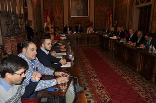 Salina pleno diputacion
