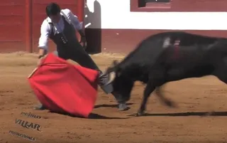 Tentadero de El Cid en la ganadería de Montalvo