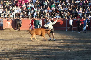 Toro del aguardiente en Santa Marta