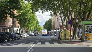 Avenida de los Cedros