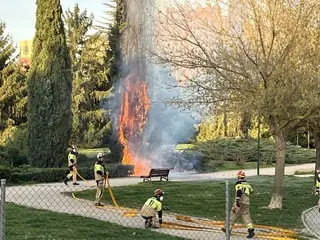 Incendio en un parque de Valladolid